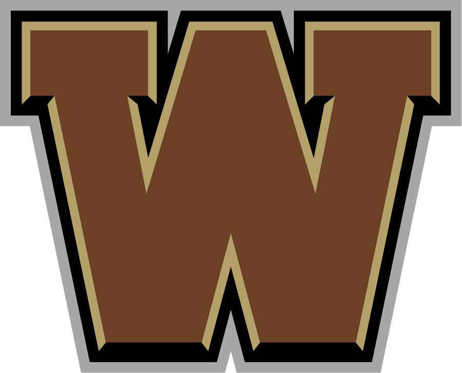 Western Michigan Broncos 2016-2021 Secondary Logo diy DTF decal sticker